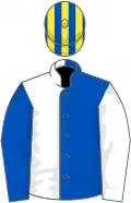 Royal blue and white halved, sleeves reversed, royal blue and yellow striped cap