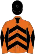 Orange, black chevrons, diabolo on sleeves, black cap
