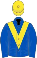 Royal blue, yellow chevron, yellow cap
