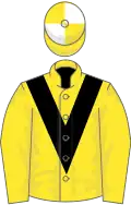 Yellow, black chevron, yellow and white quartered cap