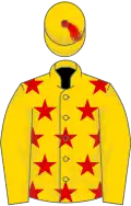 Gold, red stars, gold sleeves and cap, red tassel