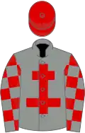 Grey, Red Cross of Lorraine, checked sleeves, Red cap