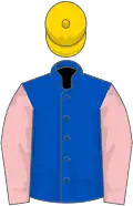 Royal blue, pink slvs, gold cap