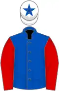 Royal blue, red sleeves, white cap, royal blue star