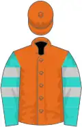 Orange, light blue and grey hooped sleeves