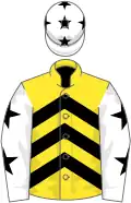 Yellow, black chevrons, white sleeves, black stars and cap