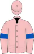 Pink, Royal Blue armlets