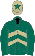 Dark green and beige chevrons, dark green sleeves, beige cap, dark green star