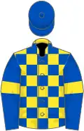 Yellow, blue checked, blue sleeves, yellow armlets, blue cap