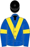 Royal blue, yellow chevron and armlets, black cap