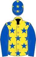 YELLOW, royal blue stars, royal blue sleeves, royal blue cap, yellow stars