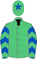 Emerald green, royal blue chevrons on sleeves, royal blue star on cap