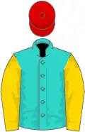 Turquoise, gold sleeves, red cap
