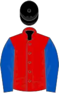 Red, royal blue sleeves, black cap