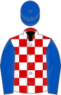 Red and white check, royal blue sleeves and cap