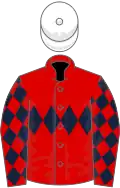 Red, Dark Blue triple diamond, diamonds on sleeves, White cap