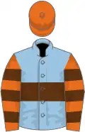 Light blue, brown hoop, orange and brown hooped sleeves, orange cap