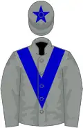 Grey, blue chevron and star on cap
