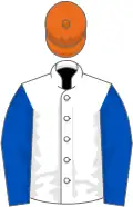 White, dark blue sleeves, orange cap