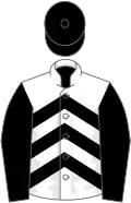 White, black chevrons, sleeves and cap