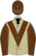 Beige, brown chevron, sleeves and cap
