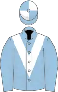 LIGHT BLUE, white chevron, quartered cap