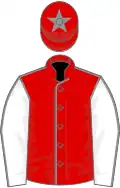 Red, grey seams, white sleeves, grey seams, red cap, grey star