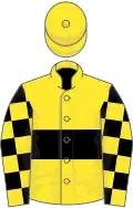 YELLOW, black hoop, check sleeves, yellow cap