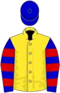 Yellow, blue sleeves, red hoops, blue cap