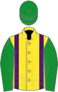 Yellow, purple braces, green sleeves and cap