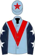 Light blue, red chevron, dark blue sleeves, white stars, light blue cap, red star