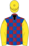 Maroon and royal blue check, yellow sleeves and cap