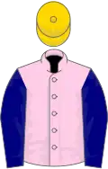 Rose pink, navy blue sleeves, gold cap
