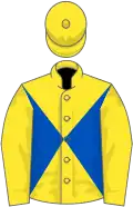 Yellow and royal blue diabolo, yellow sleeves and cap