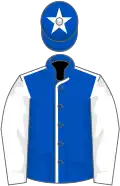 Royal blue, white seams, sleeves and star on cap