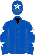Royal blue, white stars on sleeves, royal blue cap, white star