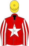 Red, white star, striped sleeves, yellow cap