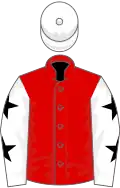 Red, white sleeves, black stars, white cap