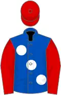 Royal blue, large white spots, red sleeves and cap