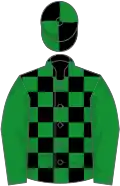Black and green check, green sleeves, quartered cap