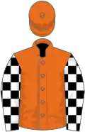 Orange, black and white check sleeves