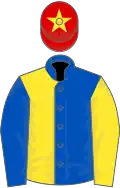 Royal blue and yellow halved, sleeves reversed, red cap, yellow star
