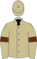 Beige, brown armlets