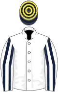White, dark blue striped sleeves, dark blue and yellow hooped cap