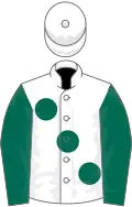 White, large dark green spots, dark green sleeves