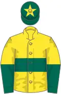 Yellow, dark green hoop, halved sleeves, dark green cap, yellow star