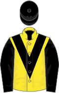 Yellow, black chevron, black sleeves and cap