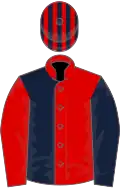 Red and dark blue halved, slvs reversed, striped cap
