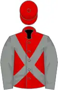 Red, grey cross belts and sleeves
