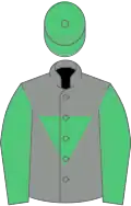 Grey, emerald green inverted triangle, sleeves and cap